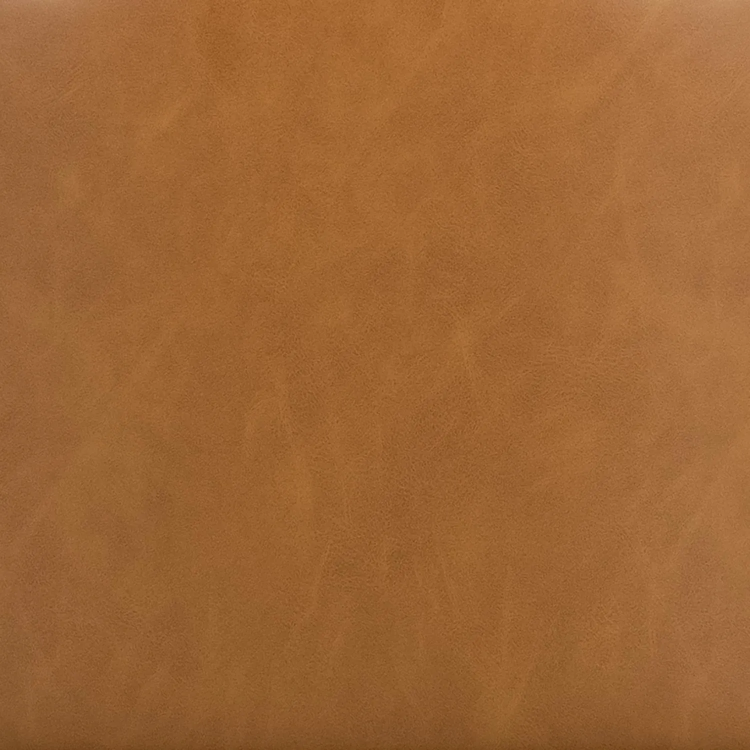 Astrud Leather Dining Chair