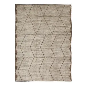 Brown Zameen Transitional Wool Rug - 10'2" x 14'2"